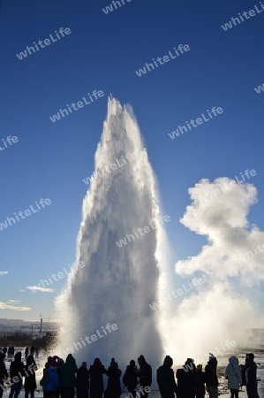 Geysir