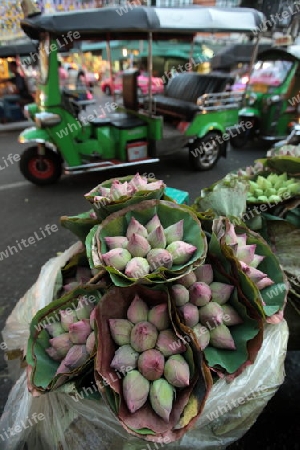 flowers at the flowermarket at the Pak Khlong Markt in Banglamphu in the city of Bangkok in Thailand in Suedostasien.