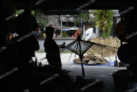 Traditionalle Schirme und Faecher aus Paier werden produziert in einer Papierschirm Fabrik in Chiang Mai im norden von Thailand in Suedostasien.