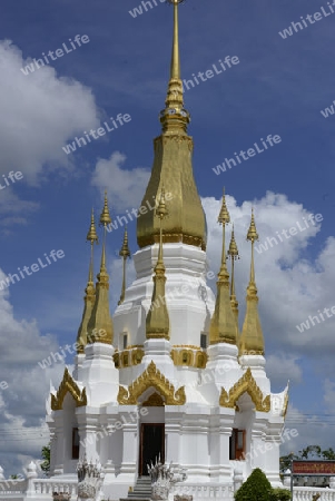 Der Tempel Wat Tham Khu Ha Sawan in Khong Jiam am Mekong River in der naehe des Pha Taem Nationalpark in der Umgebung von Ubon Ratchathani im nordosten von Thailand in Suedostasien.