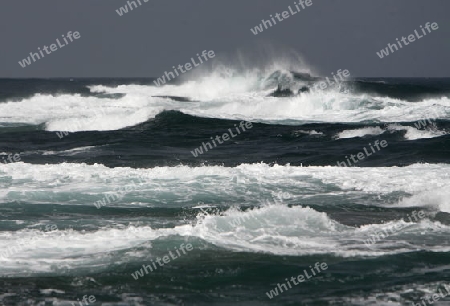 the coast of  Los Lagos on the Island Fuerteventura on the Canary island of Spain in the Atlantic Ocean.