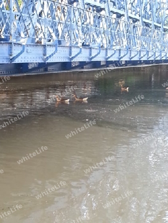 Macht des Wassers/ Hochwasser