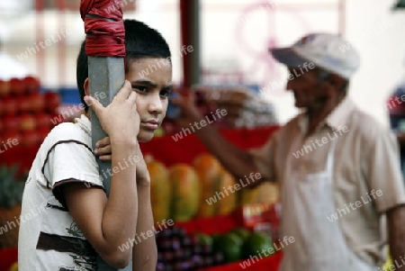 Suedamerika, Karibik, Venezuela, West, Maracaibo, Kolonial, Zentrum, Markt, Junge, Marktstand, Fruechtmarkt, Alltag, Wirtschaft