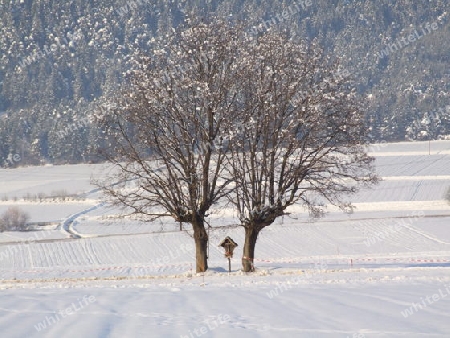 Austria