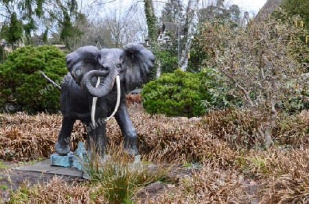 Elefant