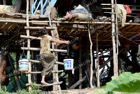 The People at wort in the Lake Village Kompong Pluk at the Lake Tonle Sap near the City of Siem Riep in the west of Cambodia.