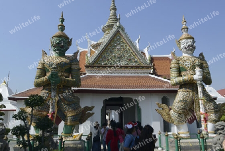 Die Tempelanlage des Wat Arun am Mae Nam Chao Phraya River in der Hauptstadt Bangkok von Thailand in Suedostasien.