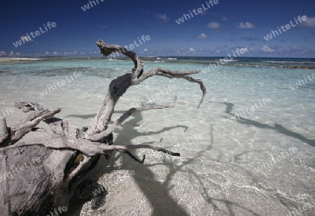 Suedamerika, Karibik, Venezuela, Los Roques, Insel, Atoll, Archipfel, Strand, Beach, Strandinsel, Meer, Wetter, Reef, Ferien, Baden, Traumstrand,