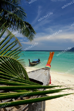 A Beach on the Island of Ko PhiPhi on Ko Phi Phi Island outside of the City of Krabi on the Andaman Sea in the south of Thailand. 