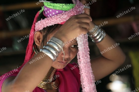 Eine Traditionell gekleidete Langhals Frau eines Paudang Stammes aus Burma lebt in einem Dorf noerdlich von Chiang Mai in Nord Thailand. 