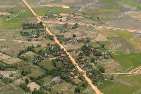 The Landscape with a ricefield near the City of Siem Riep in the west of Cambodia.