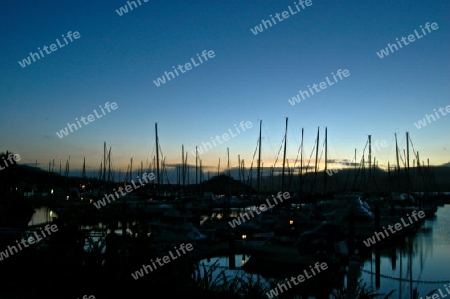 Airlie Beach marina 