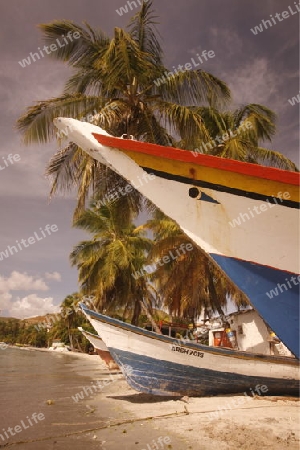 Suedamerika, Karibik, Venezuela, Isla Margarita, Porlamar, Ein Strand mit Fischerboot und Palmen bei Porlamar auf der Isla Margarita.    