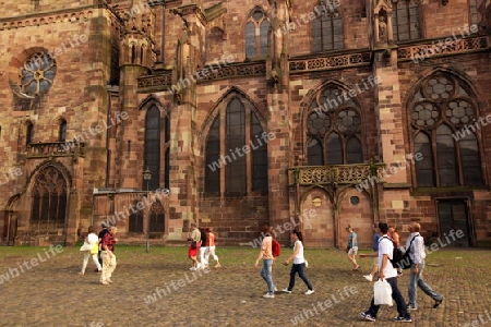  the muenster church in the old town of Freiburg im Breisgau in the Blackforest in the south of Germany in Europe.