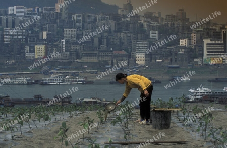 agroculture in the village of fengjie at the yangzee river in the three gorges valley up of the three gorges dam project in the province of hubei in china.