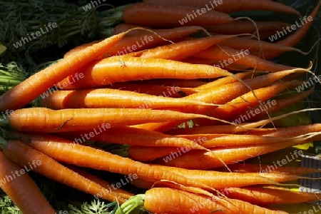 Karotten, M?hren