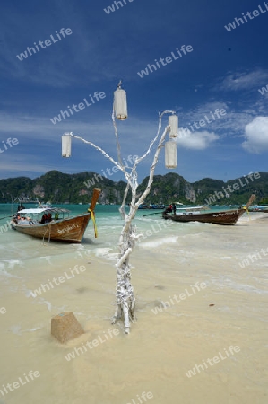 A Beach on the Island of Ko PhiPhi on Ko Phi Phi Island outside of the City of Krabi on the Andaman Sea in the south of Thailand. 