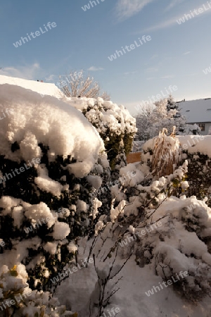 Winter in der Stadt