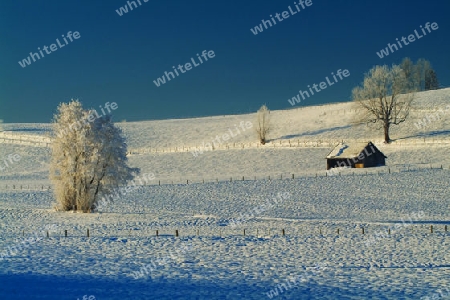 Winterlandschaft