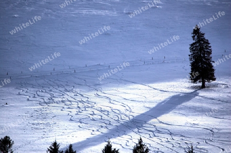 Linien im Schnee