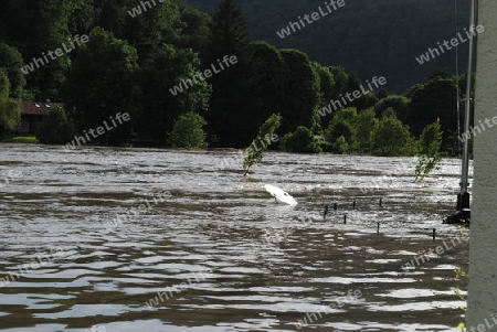 Hochwasser Rhein-Neckar