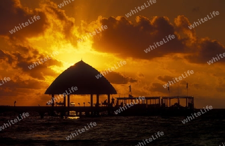 Ein Traumstrand auf einer Insel der Malediven im Indischen Ozean.