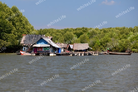 A fishing Village on a lagoon near the City of Krabi on the Andaman Sea in the south of Thailand. 