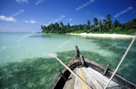 
Der Traumstrand mit Palmen und weissem Sand an der Insel Velavaru im Southmale Atoll auf den Inseln der Malediven im Indischen Ozean.   