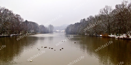 Winter am See