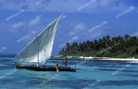 
Der Traumstrand mit Palmen und weissem Sand an der Insel Velavaru im Southmale Atoll auf den Inseln der Malediven im Indischen Ozean.   