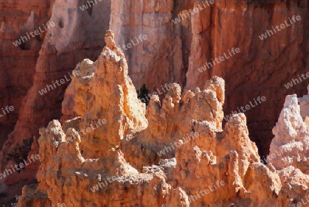 Bryce Canyon USA