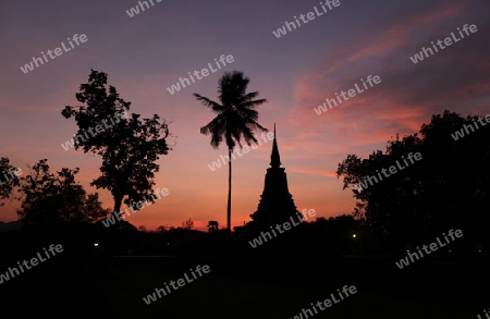 Ein Chedi beim Wat Mahathat Tempel in der Tempelanlage von Alt-Sukhothai in der Provinz Sukhothai im Norden von Thailand in Suedostasien.