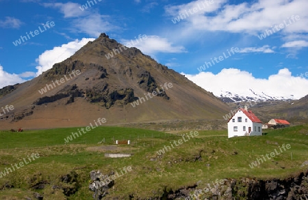 Weiler auf Island