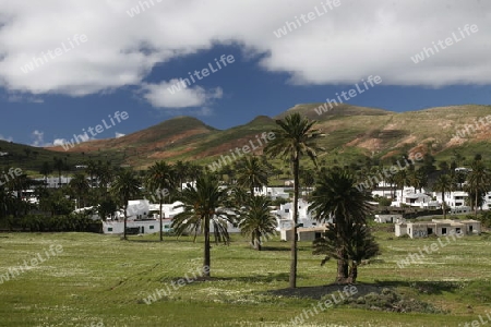 The volcanic Hills near the Village of Haria on the Island of Lanzarote on the Canary Islands of Spain in the Atlantic Ocean.
