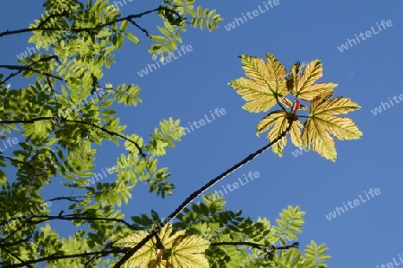 Herbstbeginn