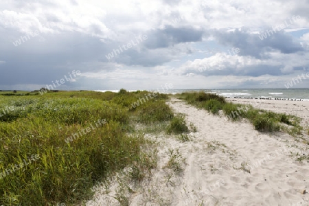 Die K?hlung, Ostsee,  Mecklenburg-Vorpommern