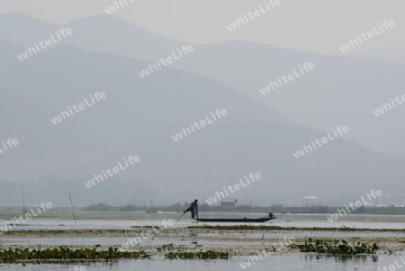 A fishingboat on the Lake Inle near the town of Nyaungshwe at the Inle Lake in the Shan State in the east of Myanmar in Southeastasia.