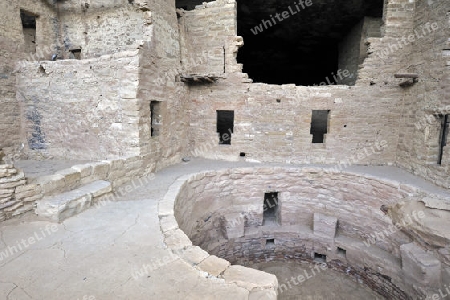 "Spruce Tree House" der indianischen Ureinwohner, ca. 800 Jahre alt, Mesa Verda NP, UNESCO Weltkulturerbe, Colorado, USA