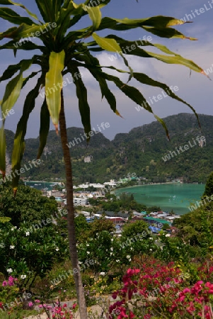 The view from the Viewpoint on the Town of Ko PhiPhi on Ko Phi Phi Island outside of the City of Krabi on the Andaman Sea in the south of Thailand. 