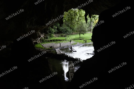 Die Hoehle Cave Pangmapha in der Bergregion von Soppong im norden von Thailand in Suedostasien.