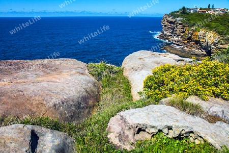 Gap Bluff Harbor National Park Sydney New South Wales Australia