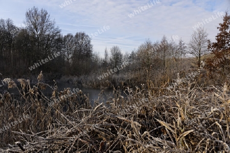 Winter am See