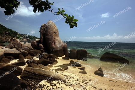 Der Strand  von Cape Je Ta Gang Beach auf der Insel Ko Tao im Golf von Thailand im Suedwesten von Thailand in Suedostasien. 