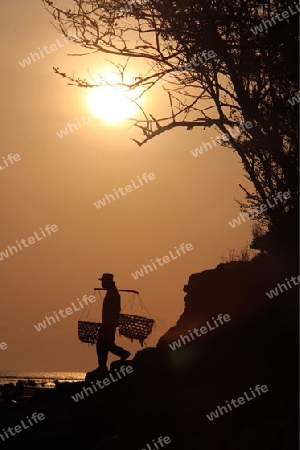 Die Ernte in der Seegrass Plantage auf der Insel Nusa Lembongan der Nachbarinsel von Bali, Indonesien.