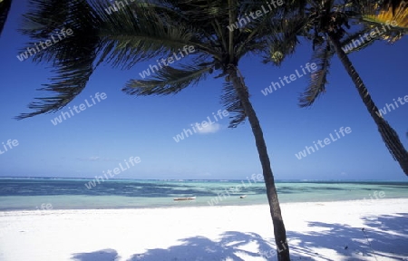 Ein Traumstrand in Bwejuu im osten der Insel Zanzibar im Indischen Ozean in Tansania in Afrika.