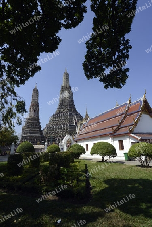 Die Tempelanlage des Wat Arun am Mae Nam Chao Phraya River in der Hauptstadt Bangkok von Thailand in Suedostasien.