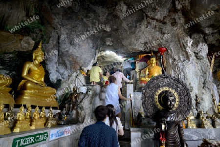 The Temple Wat Tham Seau outside the City centre of Krabi on the Andaman Sea in the south of Thailand. 