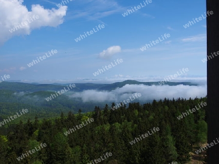 Wolken im Tal