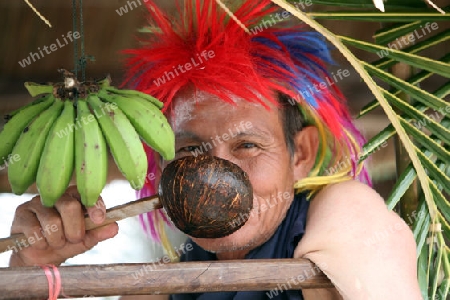 Menschen an der Festparade beim Bun Bang Fai oder Rocket Festival in Yasothon im Isan im Nordosten von Thailand. 