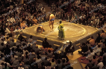 a Sumo fight in the Sumo Arena in the City centre of Tokyo in Japan in Asia,